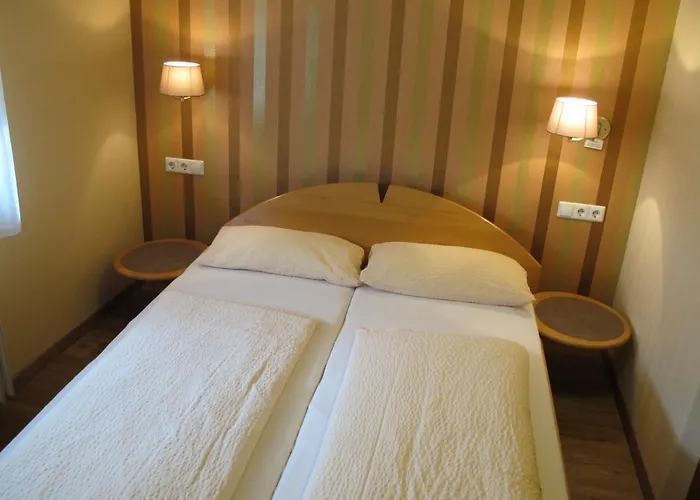 Hotel Landgasthof Schwabenpfanne Erbach an der Danau